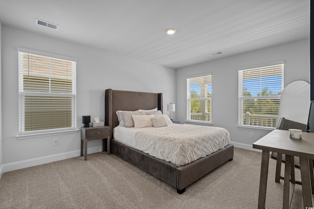1168 Baker Creek Loop, Myrtle Beach, SC 29579 - bedroom featuring baseboards and carpet flooring