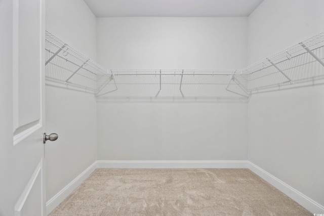 2475 Blue Crane Cir Unit 106, Myrtle Beach, SC 29577 - spacious closet featuring carpet floors
