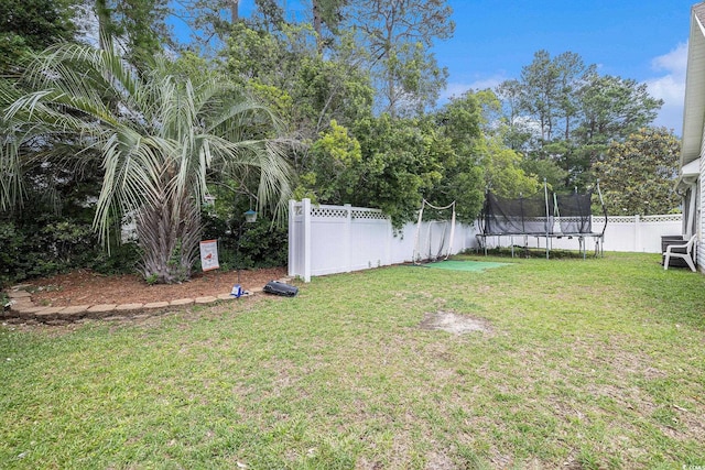 7007 Blade Beak Ln, Myrtle Beach, SC 29588 - view of yard featuring a trampoline