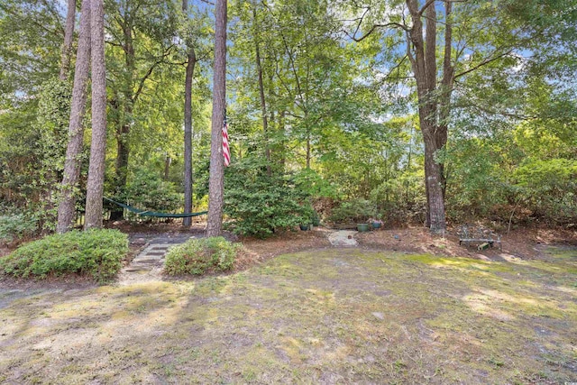 86 Wickham Ct, Pawleys Island, SC 29585 - photo 26