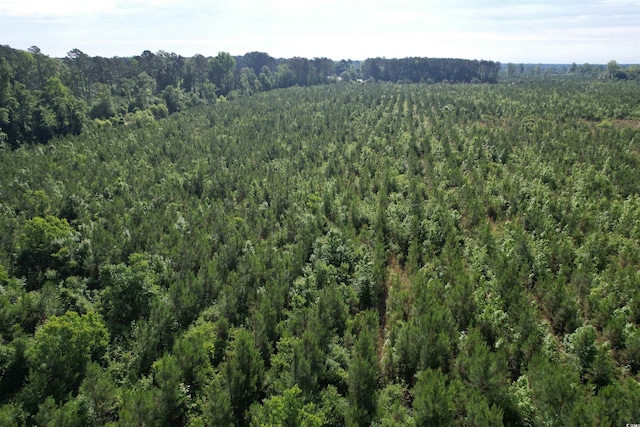 20ACRES-TBD Hwy 260, Manning, SC 29102
