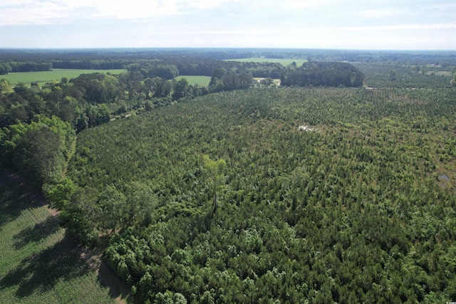 20ACRES-TBD Hwy 260, Manning, SC 29102