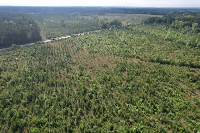 20ACRES-TBD Hwy 260, Manning, SC 29102