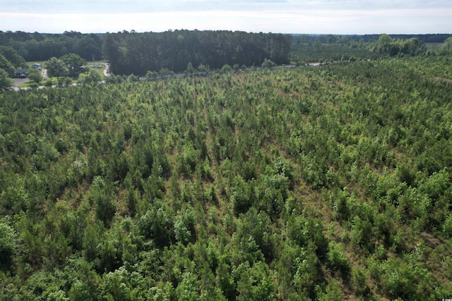 20ACRES-TBD Hwy 260, Manning, SC 29102