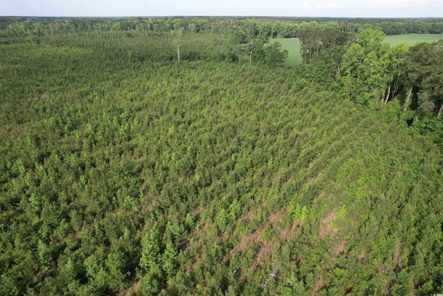 20ACRES-TBD Hwy 260, Manning, SC 29102