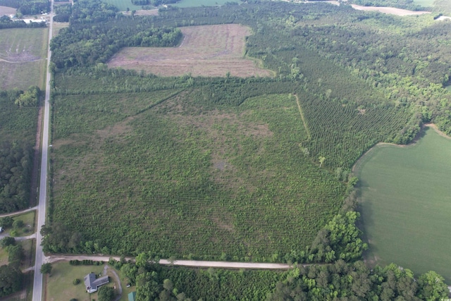 20ACRES-TBD Hwy 260, Manning, SC 29102