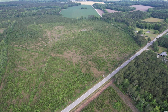 20ACRES-TBD Hwy 260, Manning, SC 29102