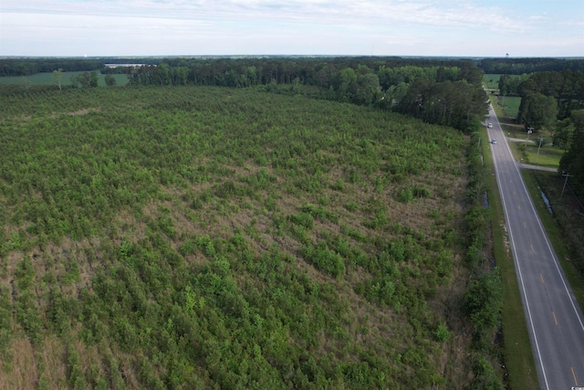 20ACRES-TBD Hwy 260, Manning, SC 29102