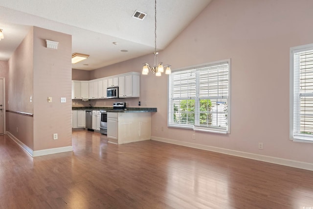 618 5th Ave S, North Myrtle Beach, SC 29582 - kitchen with stainless steel appliances, dark countertops, healthy amount of natural light, wood finished floors, and high vaulted ceiling