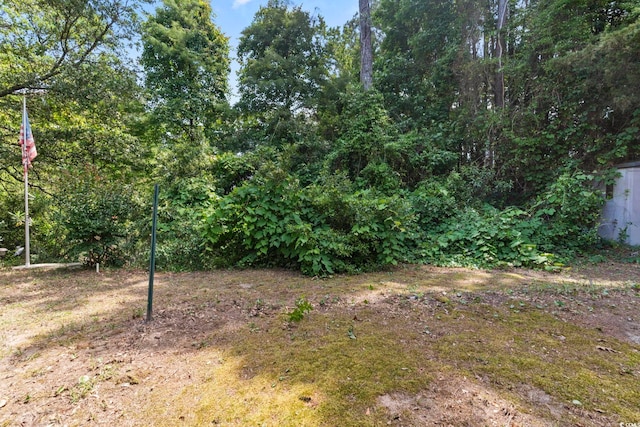 618 5th Ave S, North Myrtle Beach, SC 29582 - view of yard