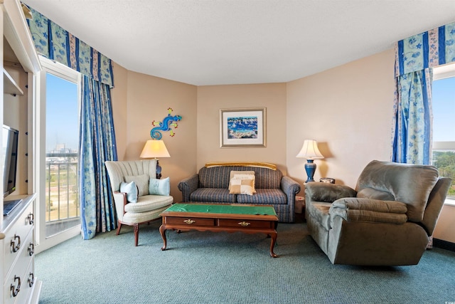 2801 S Ocean Blvd Unit 941, North Myrtle Beach, SC 29582 - living area featuring carpet