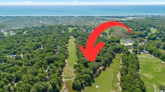 159-1 Weehawka Way Unit 159-1, Pawleys Island, SC 29585 - aerial view of property and surrounding area with a large body of water and a golf club