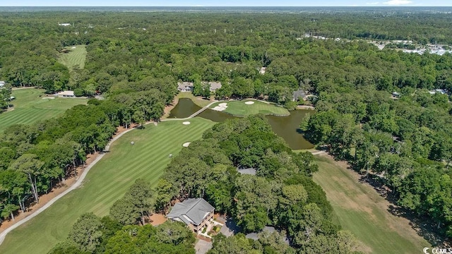 159-1 Weehawka Way Unit 159-1, Pawleys Island, SC 29585 - view of property location featuring a forest, a large body of water, and a golf club