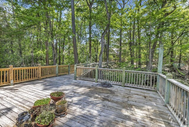 4131 Gunter Lake Rd, Galivants Ferry, SC 29544 - photo 31