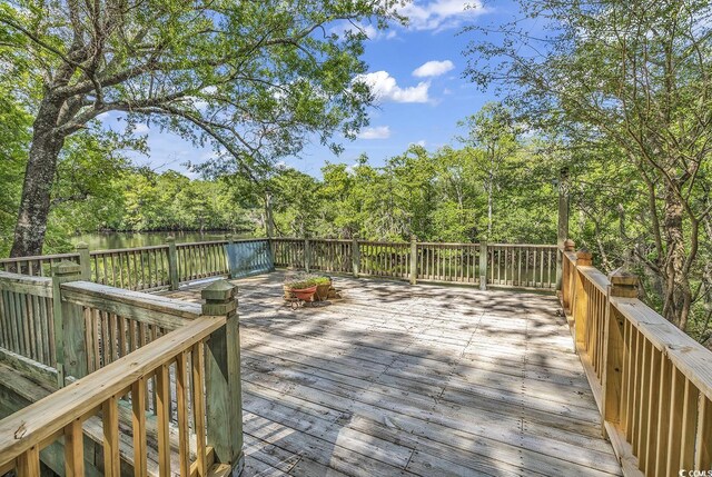4131 Gunter Lake Rd, Galivants Ferry, SC 29544 - photo 32