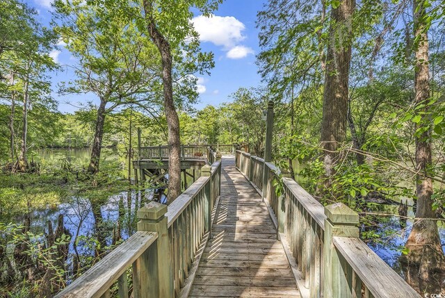 4131 Gunter Lake Rd, Galivants Ferry, SC 29544 - photo 35
