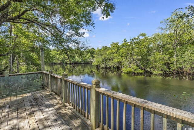 4131 Gunter Lake Rd, Galivants Ferry, SC 29544 - photo 36