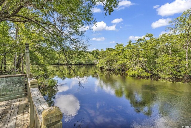 4131 Gunter Lake Rd, Galivants Ferry, SC 29544 - photo 37