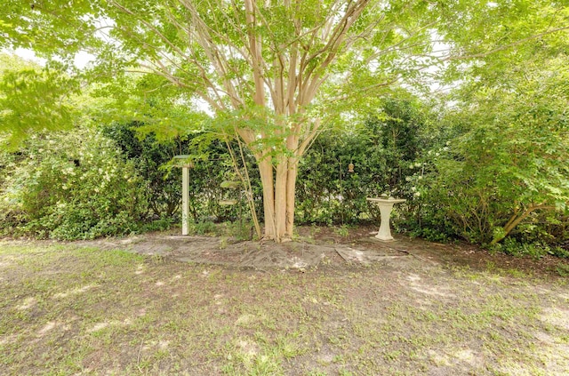 702 Beach Walk Pl Unit 702, Myrtle Beach, SC 29577 - view of yard