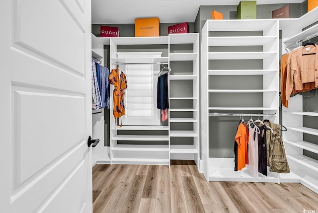 103 Pigeon Forge Ct, Murrells Inlet, SC 29576 - walk in closet with wood finished floors