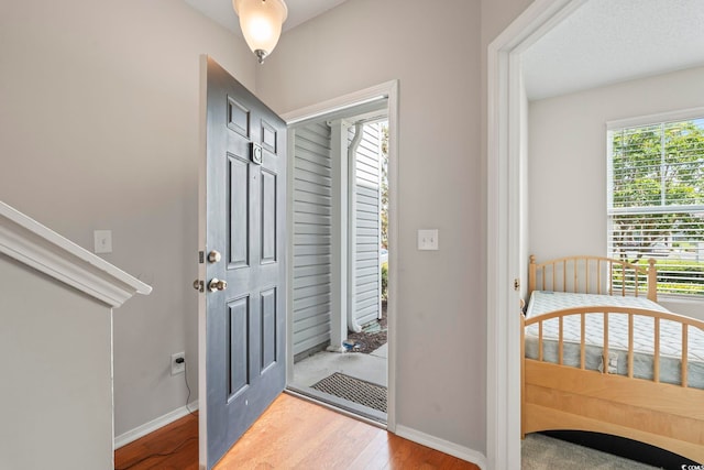 314 Kiskadee Loop Unit 8-C, Conway, SC 29526 - entryway with healthy amount of natural light and wood finished floors