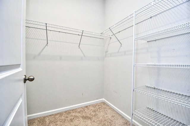 2315 Blackthorn Dr, Conway, SC 29526 - spacious closet featuring carpet flooring