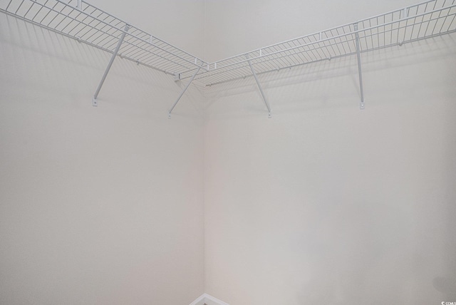 6253 Catalina Dr Unit 1523, North Myrtle Beach, SC 29582 - view of walk in closet