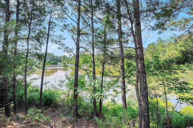 6253 Catalina Dr Unit 1523, North Myrtle Beach, SC 29582 - water view with a heavily wooded area