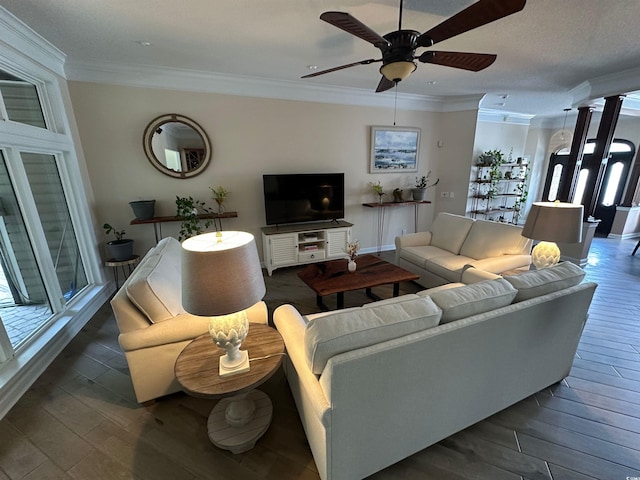 5718 Herring Gull Cir N, Myrtle Beach, SC 29582 - living area with wood finished floors, ceiling fan, ornamental molding, and plenty of natural light