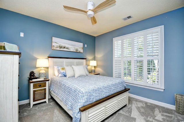 5718 Herring Gull Cir N, Myrtle Beach, SC 29582 - bedroom with carpet, multiple windows, and baseboards