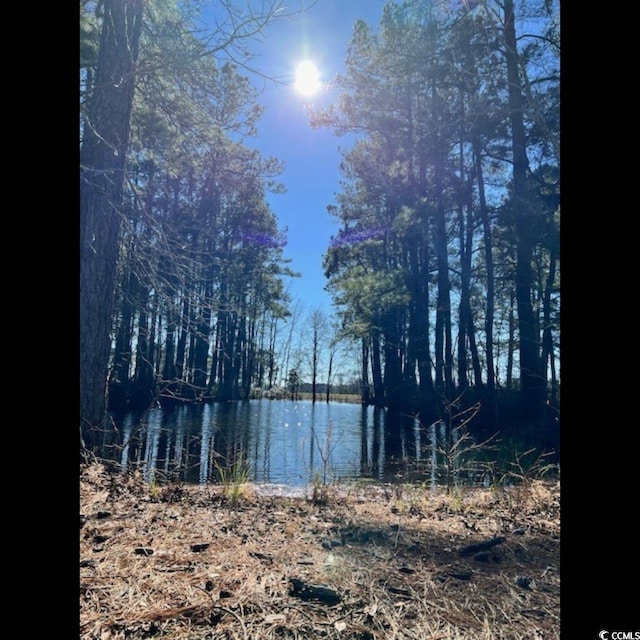 3050 Bannock Dr, Nichols, SC 29581