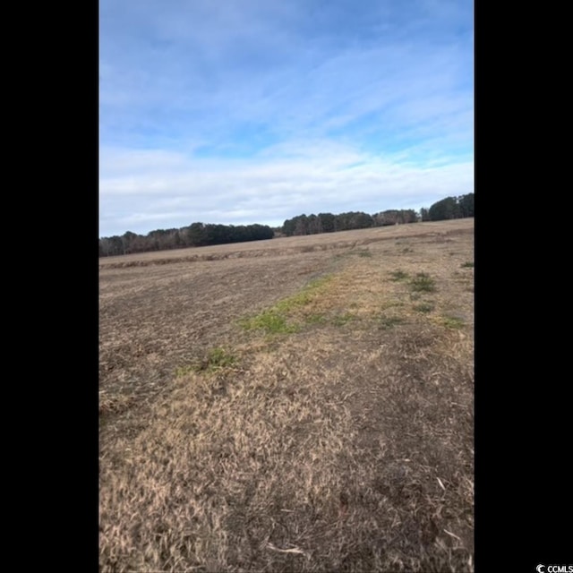 3050 Bannock Dr, Nichols, SC 29581