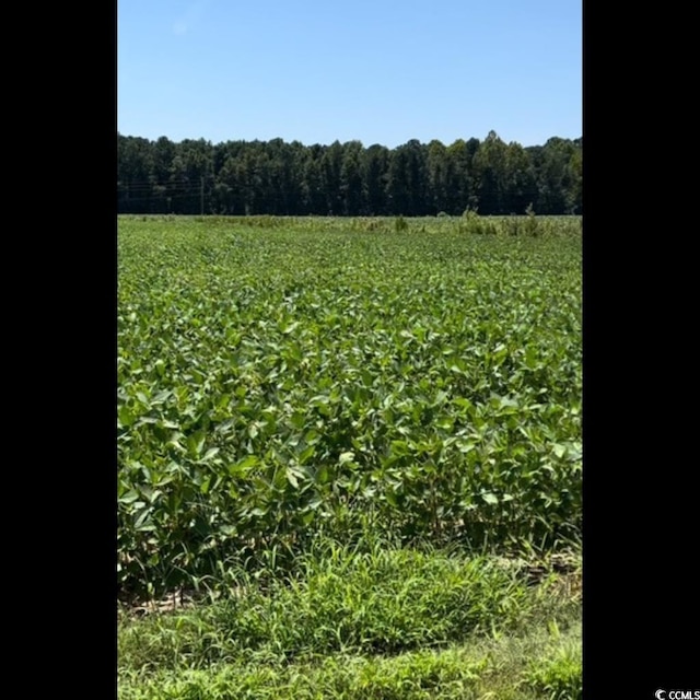 3050 Bannock Dr, Nichols, SC 29581