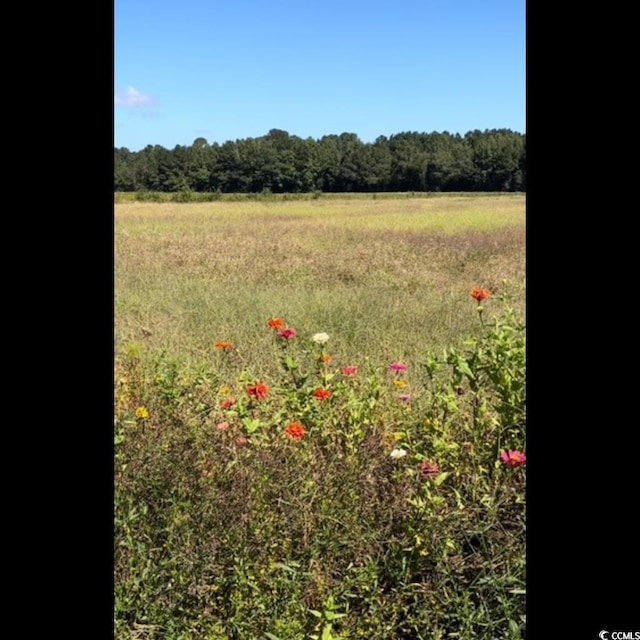 3050 Bannock Dr, Nichols, SC 29581