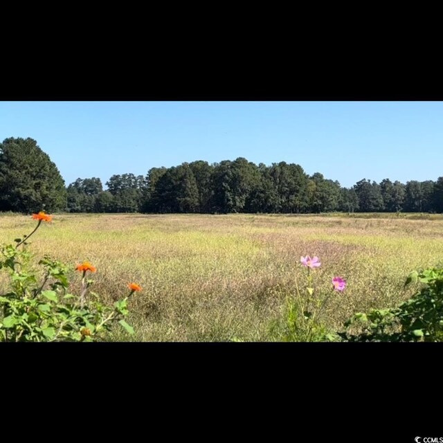 3050 Bannock Dr, Nichols, SC 29581