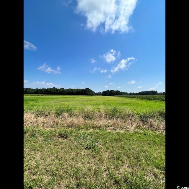 3050 Bannock Dr, Nichols, SC 29581