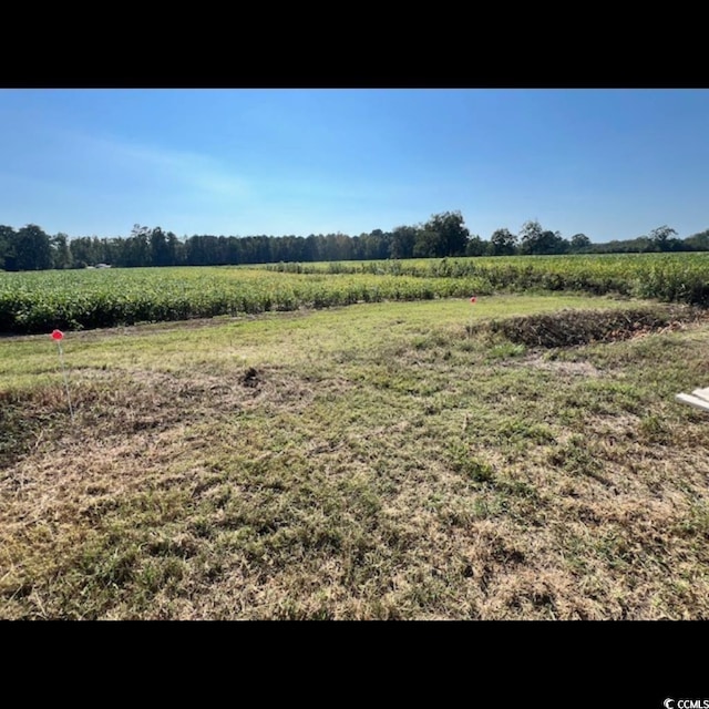 3050 Bannock Dr, Nichols, SC 29581