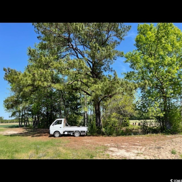 3050 Bannock Dr, Nichols, SC 29581