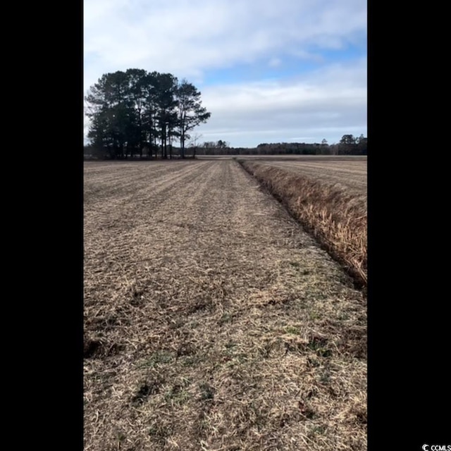 3050 Bannock Dr, Nichols, SC 29581