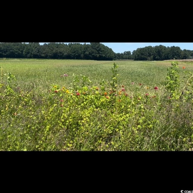 3050 Bannock Dr, Nichols, SC 29581
