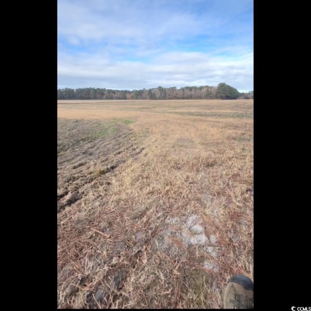3050 Bannock Dr, Nichols, SC 29581