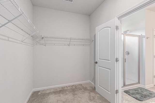 364 Palm Lakes Blvd, Little River, SC 29566 - spacious closet with light colored carpet