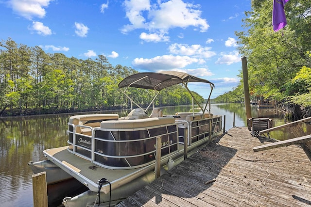 515 River Rd, Conway, SC 29526 - dock area featuring a water view
