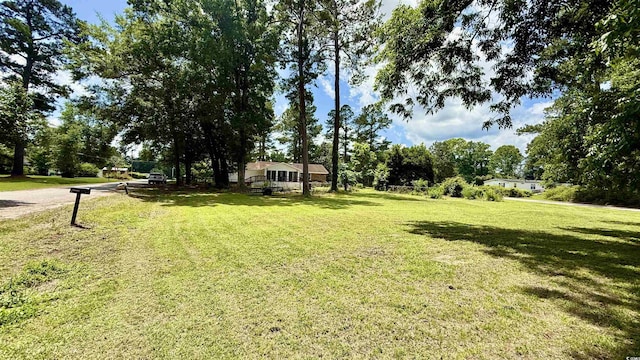 6805 Mclaurin Rd, Mullins, SC 29574 - view of grassy yard featuring view of wooded area