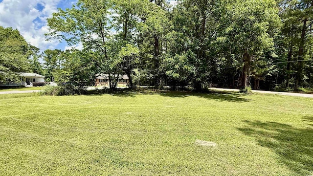 6805 Mclaurin Rd, Mullins, SC 29574 - view of grassy yard