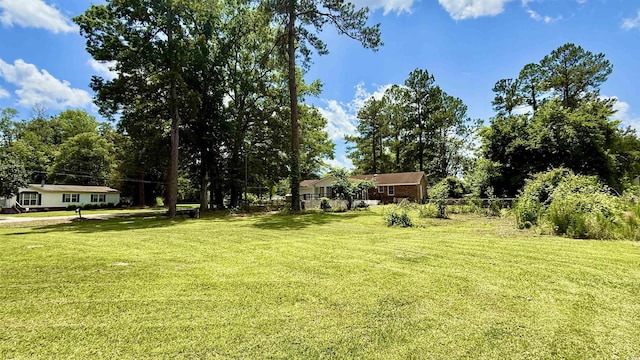 6805 Mclaurin Rd, Mullins, SC 29574 - view of green lawn with view of scattered trees