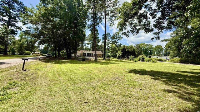 6805 Mclaurin Rd, Mullins, SC 29574 - view of grassy yard featuring view of wooded area