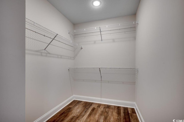 142 Temple Dr, Aynor, SC 29511 - spacious closet featuring wood finished floors