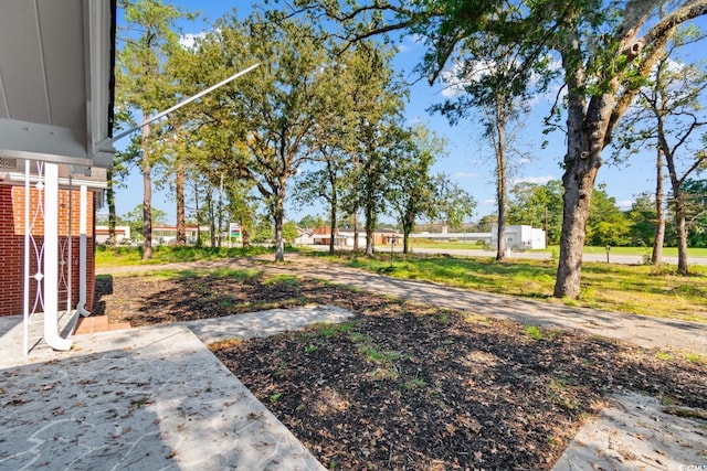 401 S Nichols St, Nichols, SC 29581 - view of yard