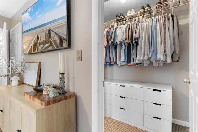 210 Double Eagle Dr Unit B-2, Surfside Beach, SC 29575 - view of walk in closet